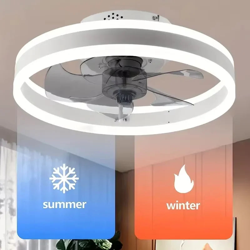 Modern Ceiling Fan (With Lighting)